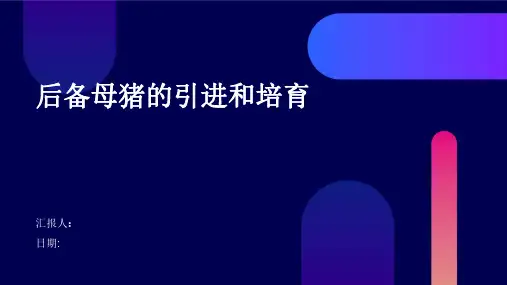 后备母猪的引进和培育