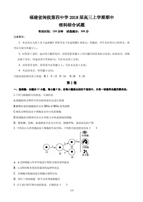福建省闽侯第四中学2018届高三上学期期中考试理科综合试题 PDF版含答案