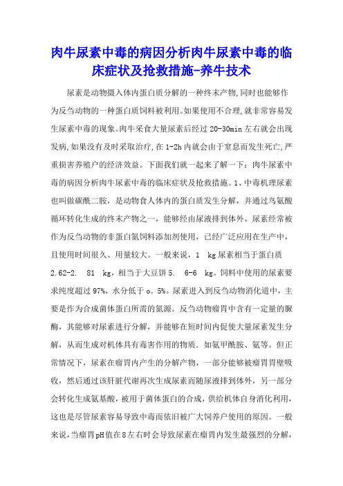肉牛尿素中毒的病因分析 肉牛尿素中毒的临床症状及抢救措施 - 养牛技术