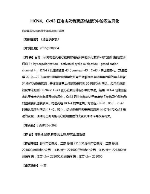HCN4、Cx43在电击死者窦房结组织中的表达变化