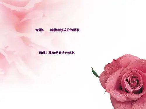 课题1-植物芳香油的提取ppt课件