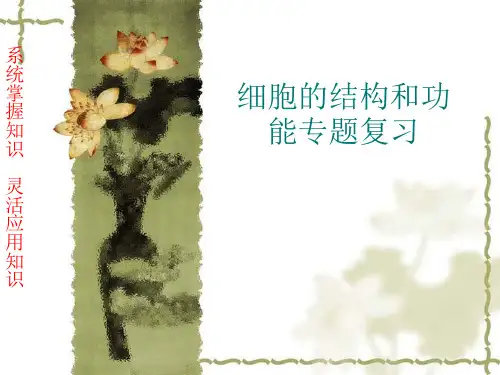 细胞的结构和功能PPT课件