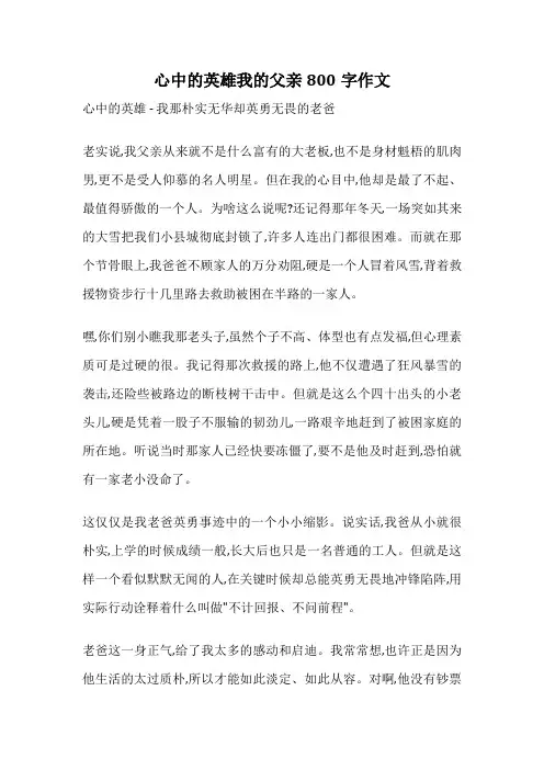 心中的英雄我的父亲800字作文