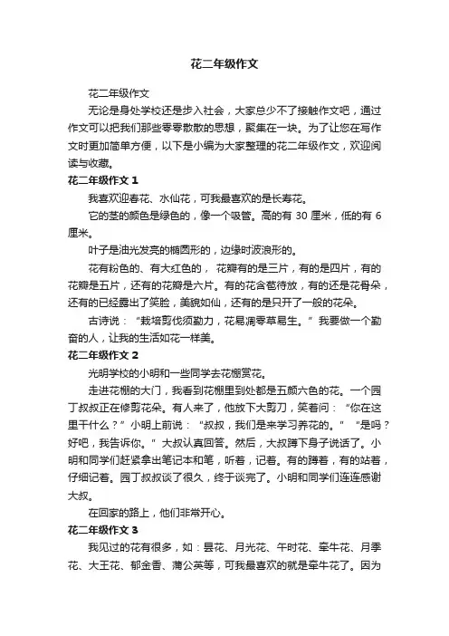 花二年级作文