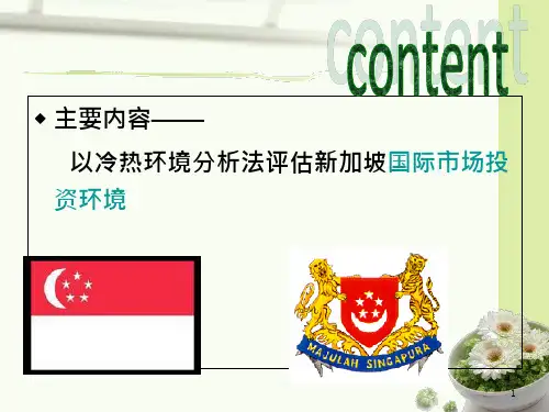 国际投资环境分析新加坡