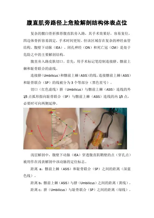 腹直肌旁路径上危险解剖结构体表点位