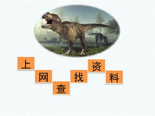 第1课 上网查找资料