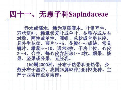 园林绿化植物(41.无患子科)
