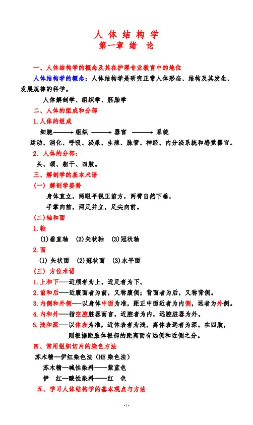人体结构学备课笔记汇总