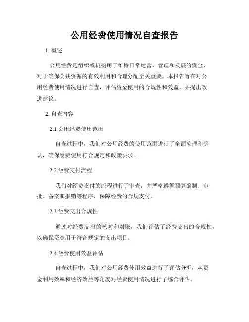 公用经费使用情况自查报告