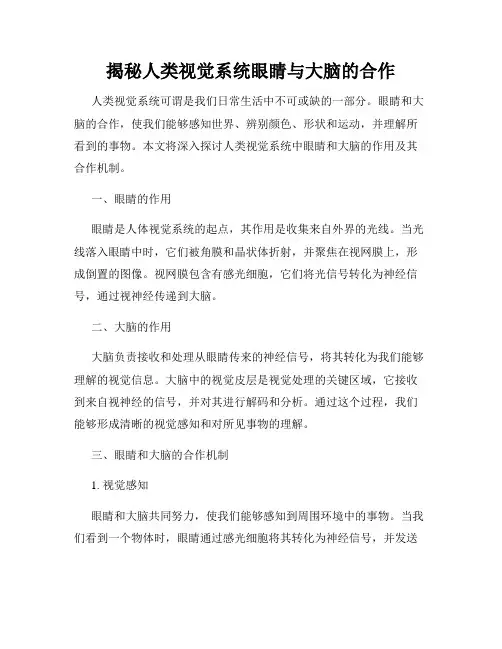 揭秘人类视觉系统眼睛与大脑的合作