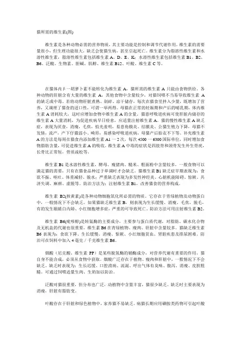 猫所需的维生素