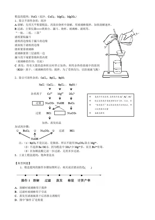浙江省九年级科学讲义--粗盐的提纯