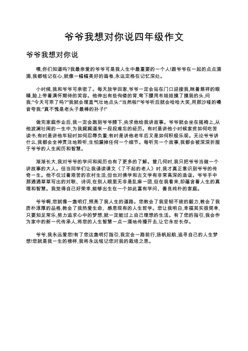 爷爷我想对你说四年级作文