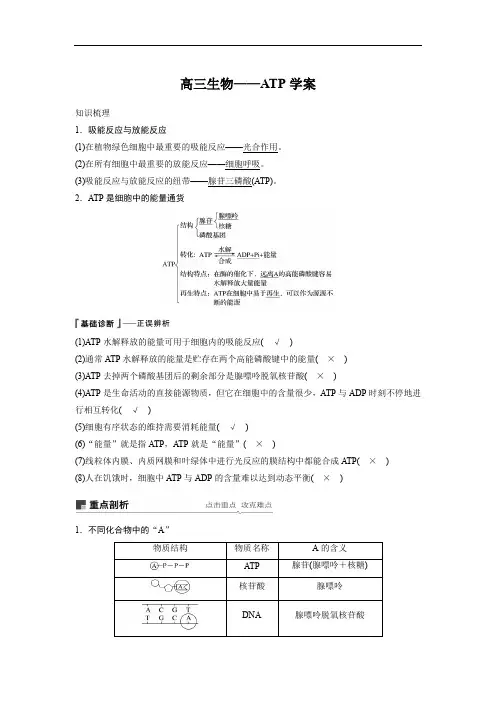 高三生物——ATP学案