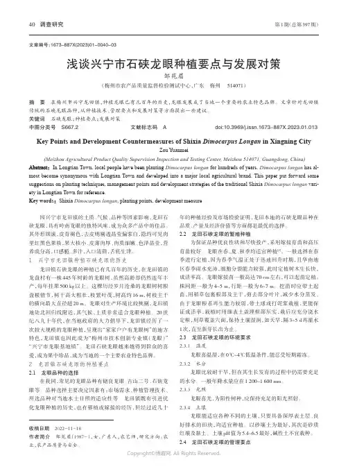 浅谈兴宁市石硖龙眼种植要点与发展对策