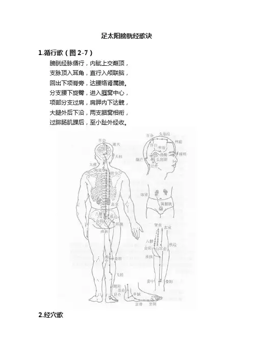 足太阳膀胱经歌诀