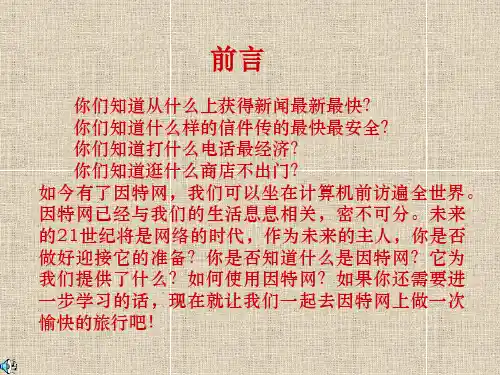 认识因特网.ppt900要点