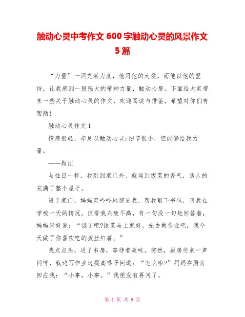 触动心灵中考作文600字触动心灵的风景作文5篇