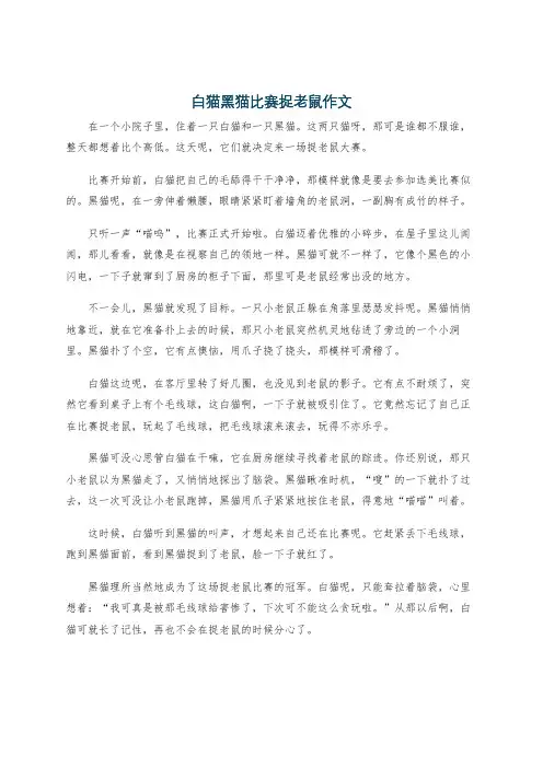 白猫黑猫比赛捉老鼠作文