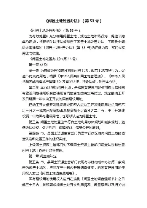 《闲置土地处置办法》（第53号）