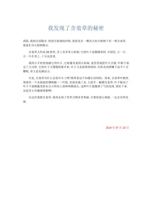 小学记叙文 我发现了含羞草的秘密-精品