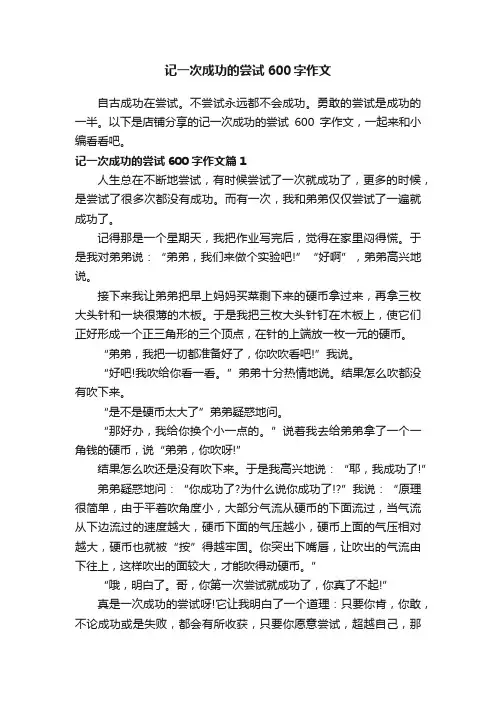 记一次成功的尝试600字作文