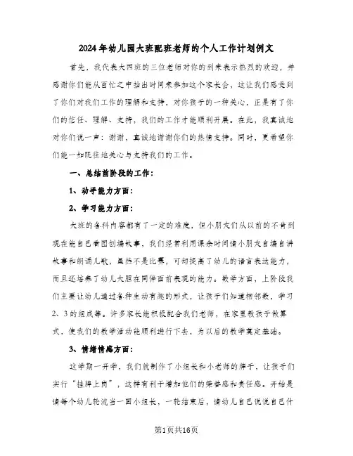 2024年幼儿园大班配班老师的个人工作计划例文(5篇)