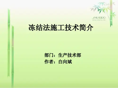 冻结法施工讲解