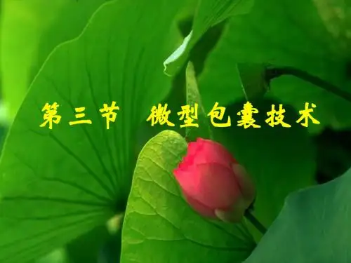 药剂学 第十八章  制剂新技术(第3节微型包囊技术)