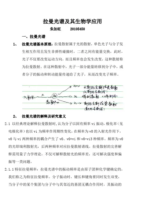 拉曼光谱及其生物学应用
