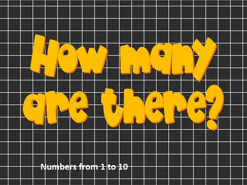 句型How many教学PPT