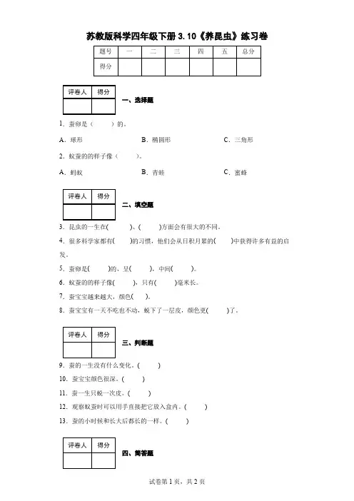 苏教版科学四年级下册3.10《养昆虫》练习卷