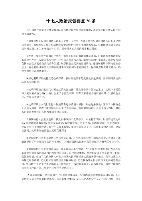 十七大政治报告要点20条