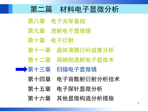 第十三章--扫描电子显微镜