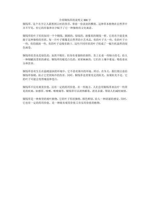 介绍铜钱草的说明文500字