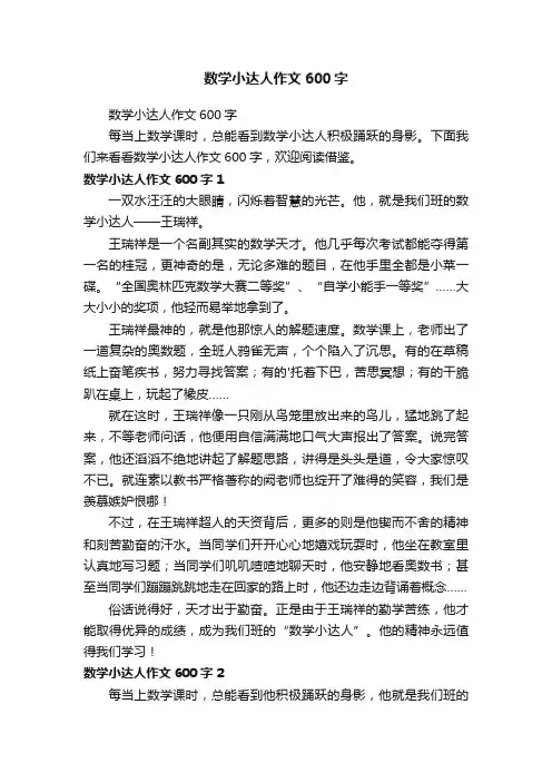 数学小达人作文600字