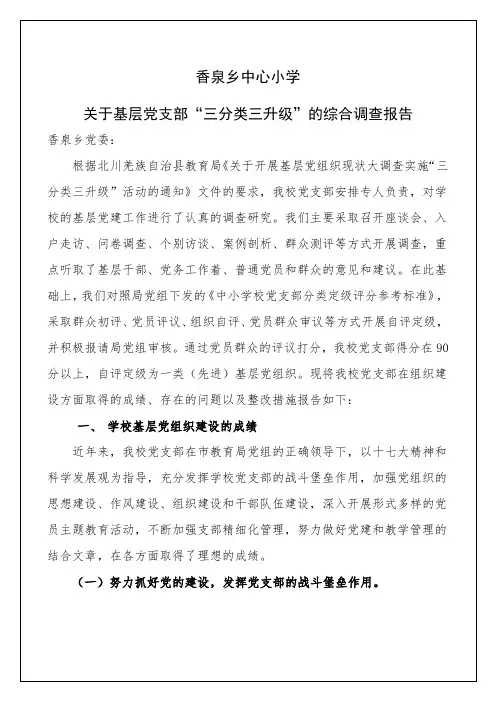 三分类三升级”的综合调查报告总结归纳