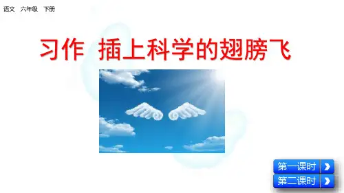 部编六年级语文下册习作：插上科学的翅膀飞课件、初试身手.pptx