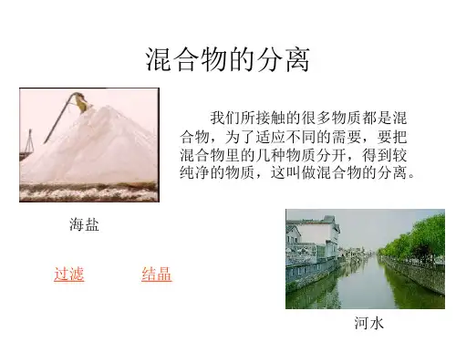 九年级化学过滤和结晶