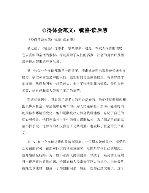 心得体会范文：镜鉴-读后感