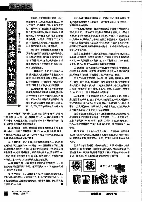 樱桃病害防治技术