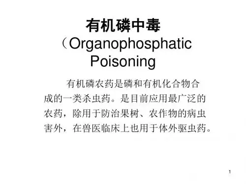 有机磷农药中毒ppt课件