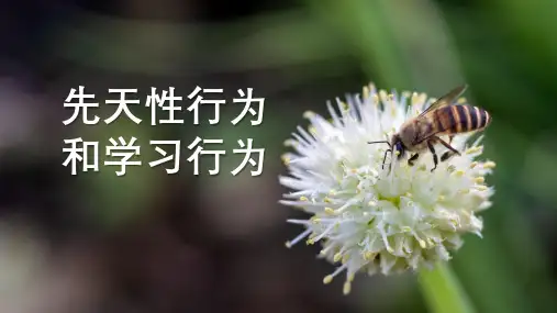 人教版生物八年级上册2.2《先天性行为和学习行为》课件