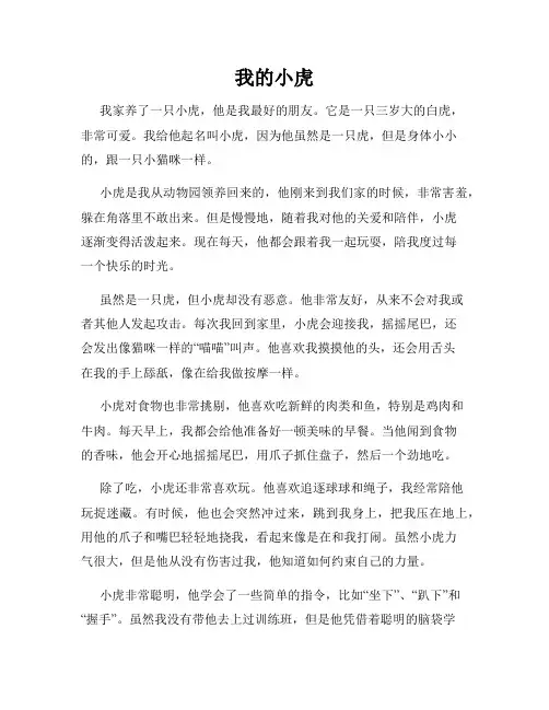 小学作文我的小虎