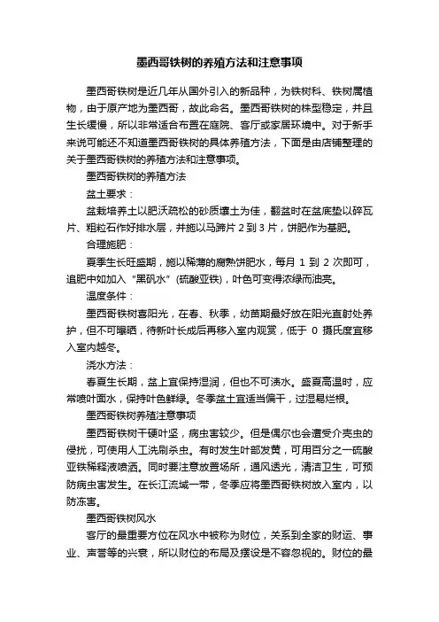 墨西哥铁树的养殖方法和注意事项