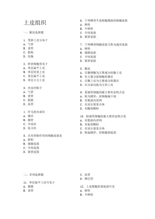 组织学与胚胎学各章习题a