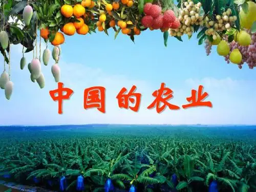 2019高考区域地理 中国的农业(共54张PPT)