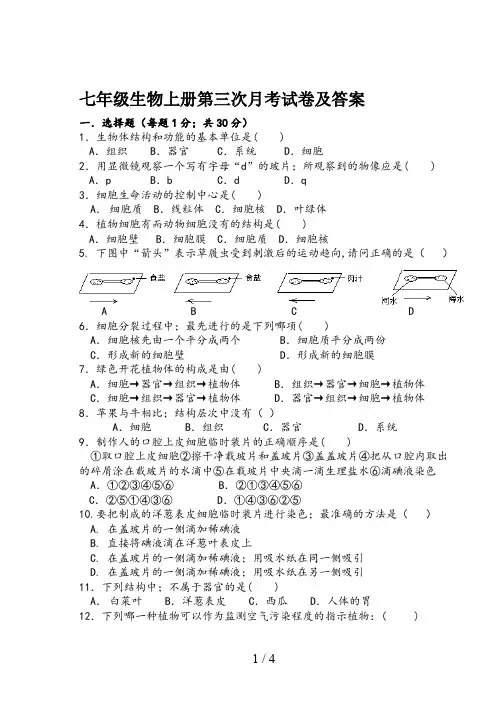 七年级生物上册第三次月考试卷及答案