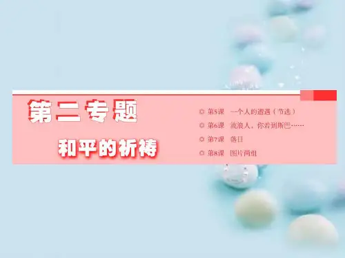 一个人的遭遇ppt54(课件+课时跟踪检测+教学案,3份打包) 苏教版